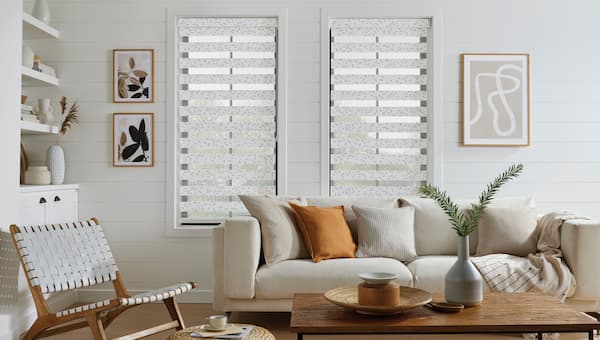 Sheer Vision Blinds 3